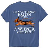 American Fido | Crazy Things Happen 1240